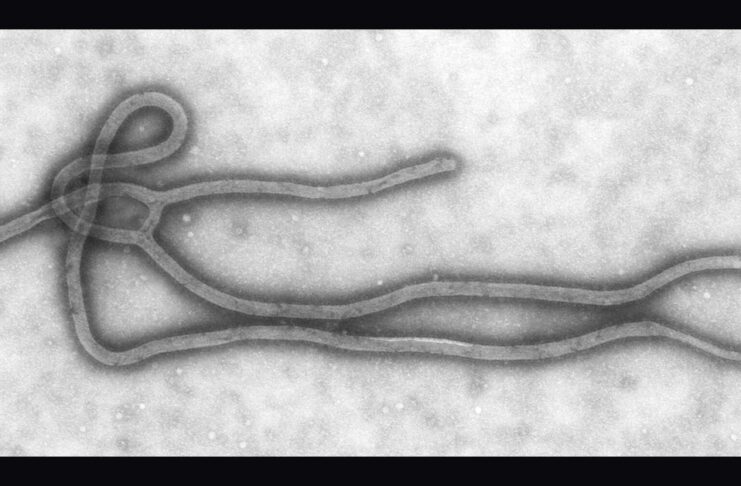 Kenya Confirms 4 New Ebola Cases, Total Rises to 7