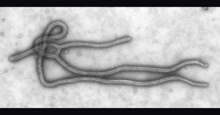 Kenya Confirms 4 New Ebola Cases, Total Rises to 7