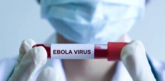 A health worker in gloves and a mask holds a blood sample tube labelled Ebola virus
