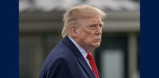President Donald Trump